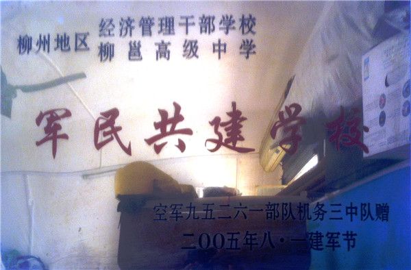 所獲榮譽