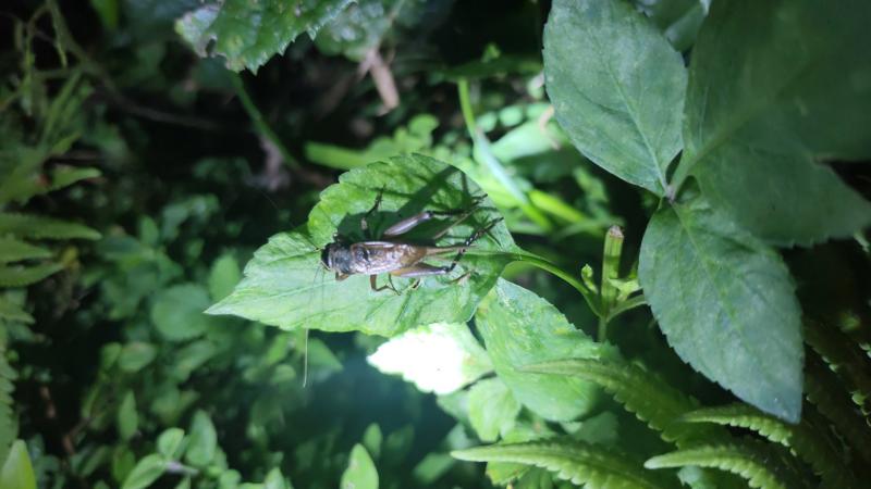 1758302975.jpg IMG_20250919_203900(1).jpg