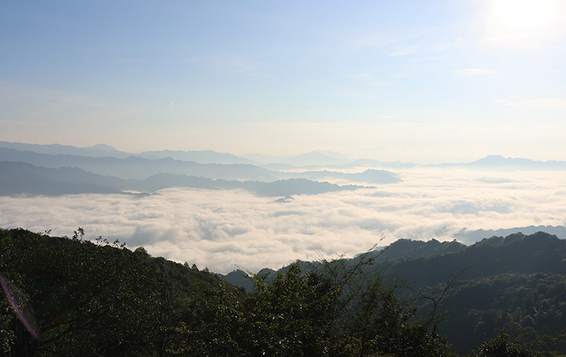 1758628959.jpg 4T8A7175.jpg