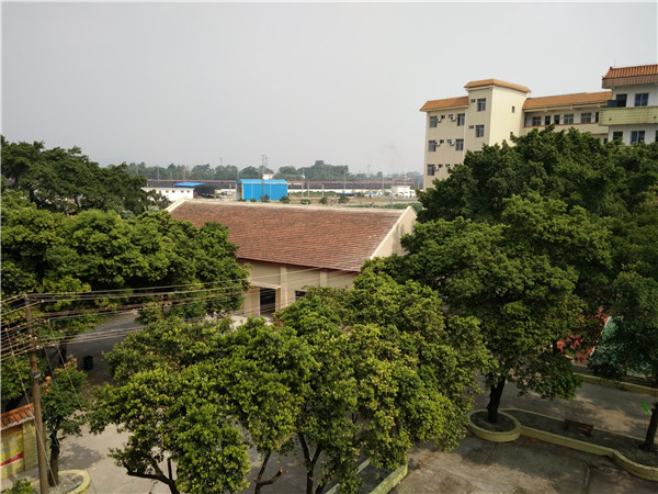 校園風(fēng)景