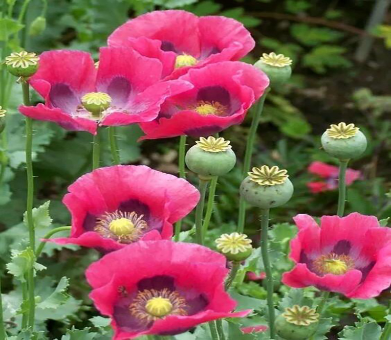 u=1022460279,82230995&fm=173&app=25&f=JPEG.jpg